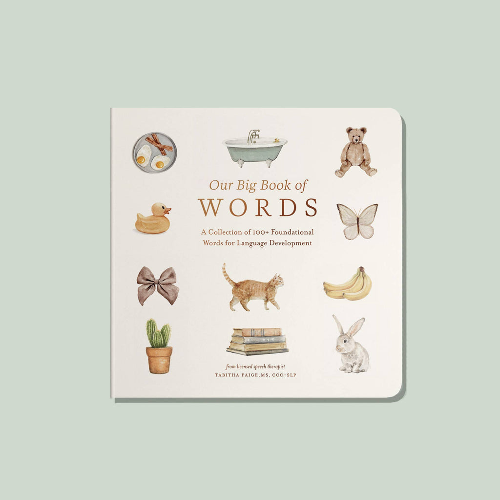 Our Big Book of First Words - Baby Board Book