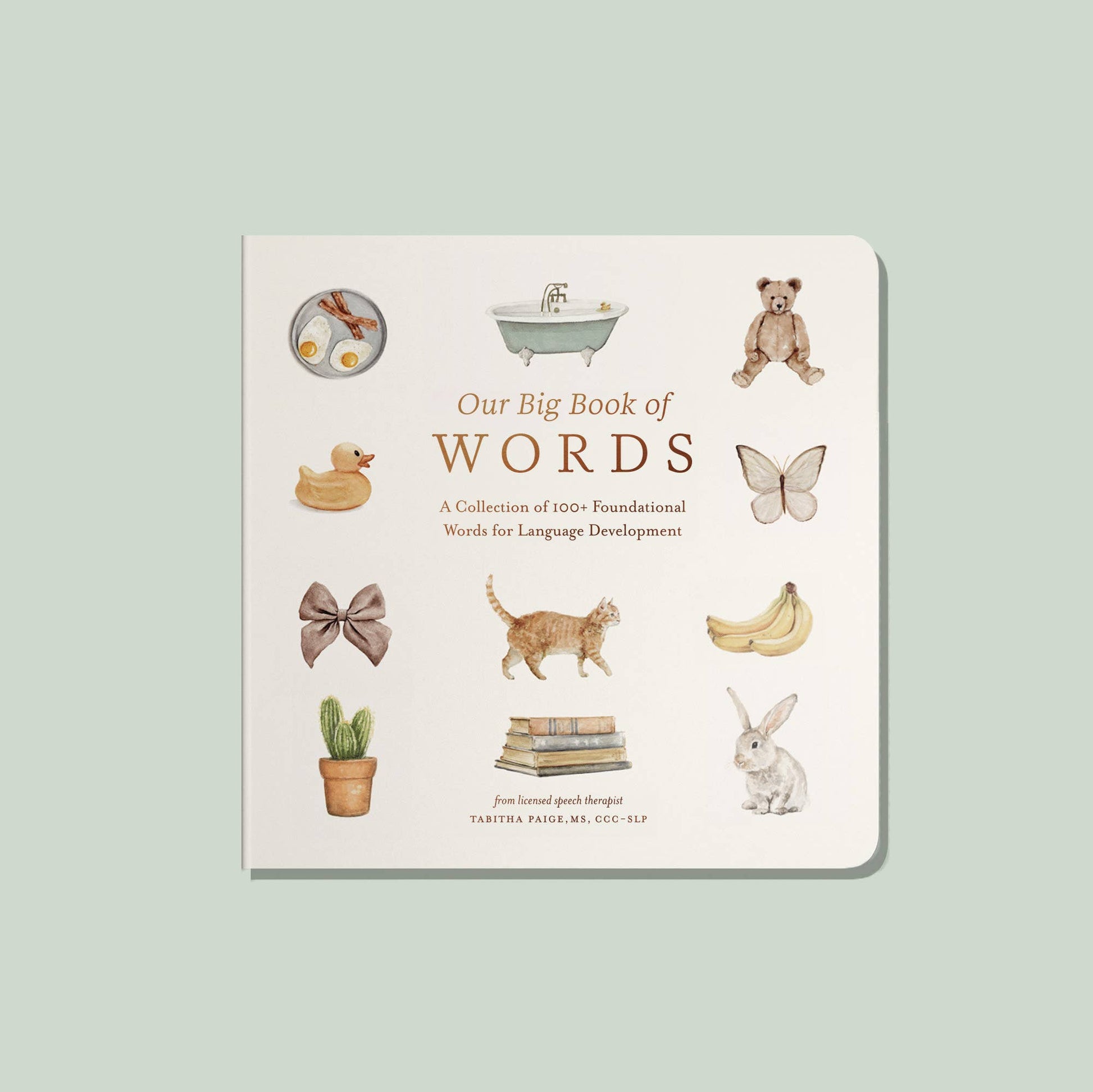 Our Big Book of First Words - Baby Board Book