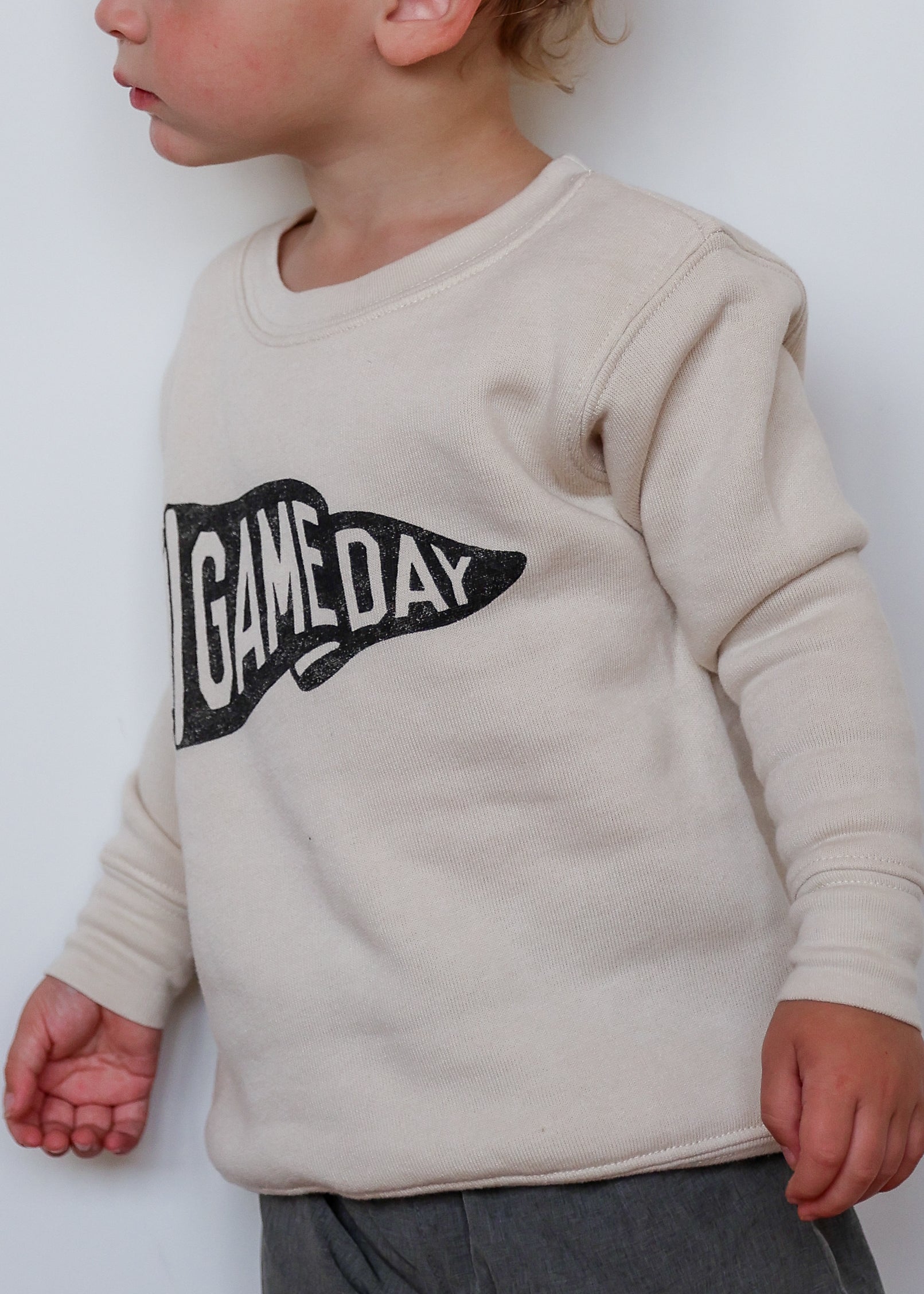 Game Day Pennant Toddler Crewneck - Heather Dust