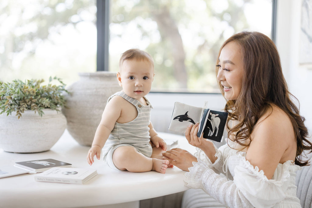 Black & White Soft Crinkle Book