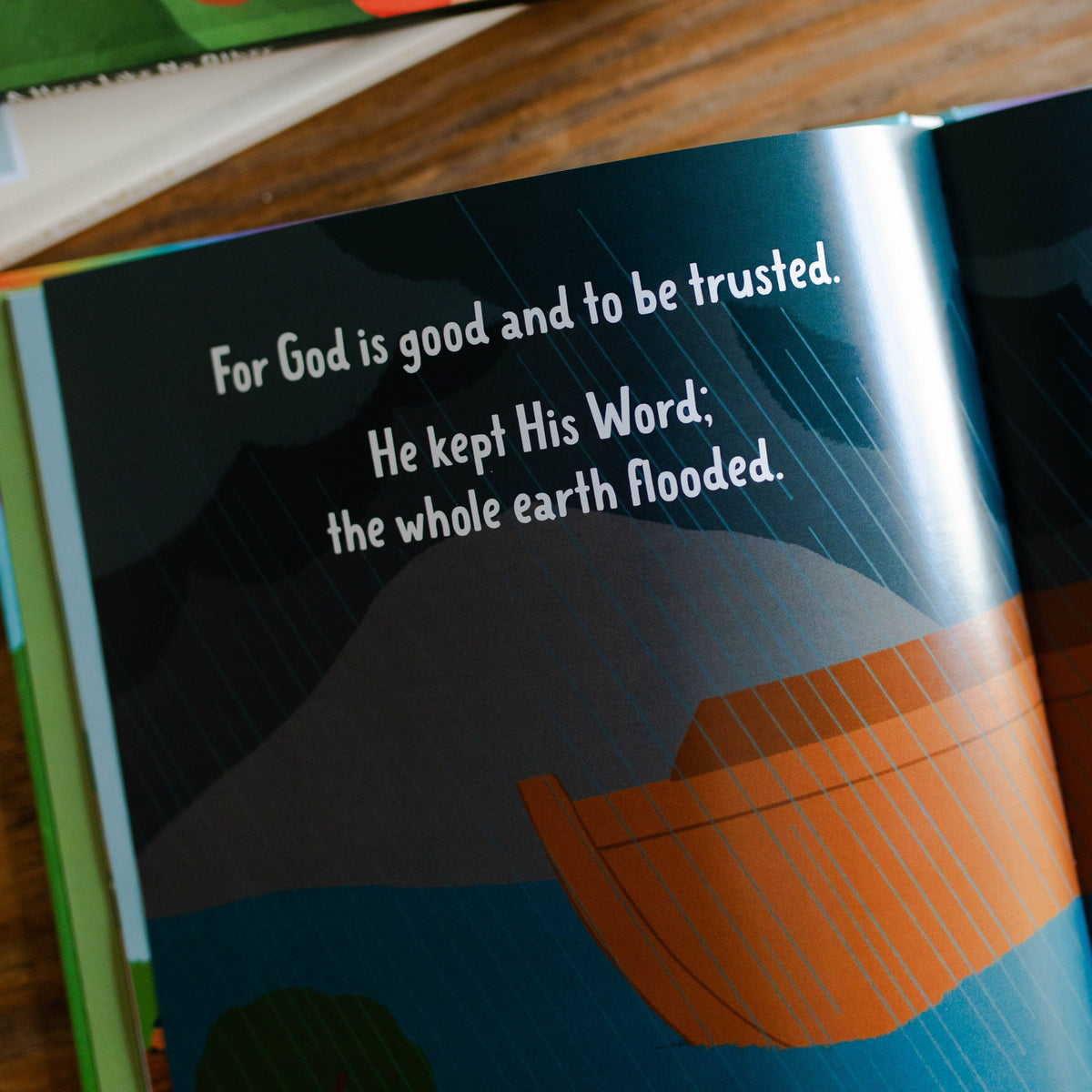 Faithful in the Flood Book
