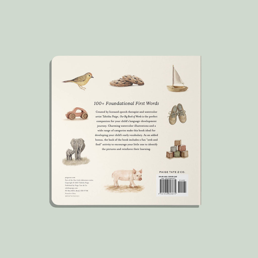 Our Big Book of First Words - Baby Board Book