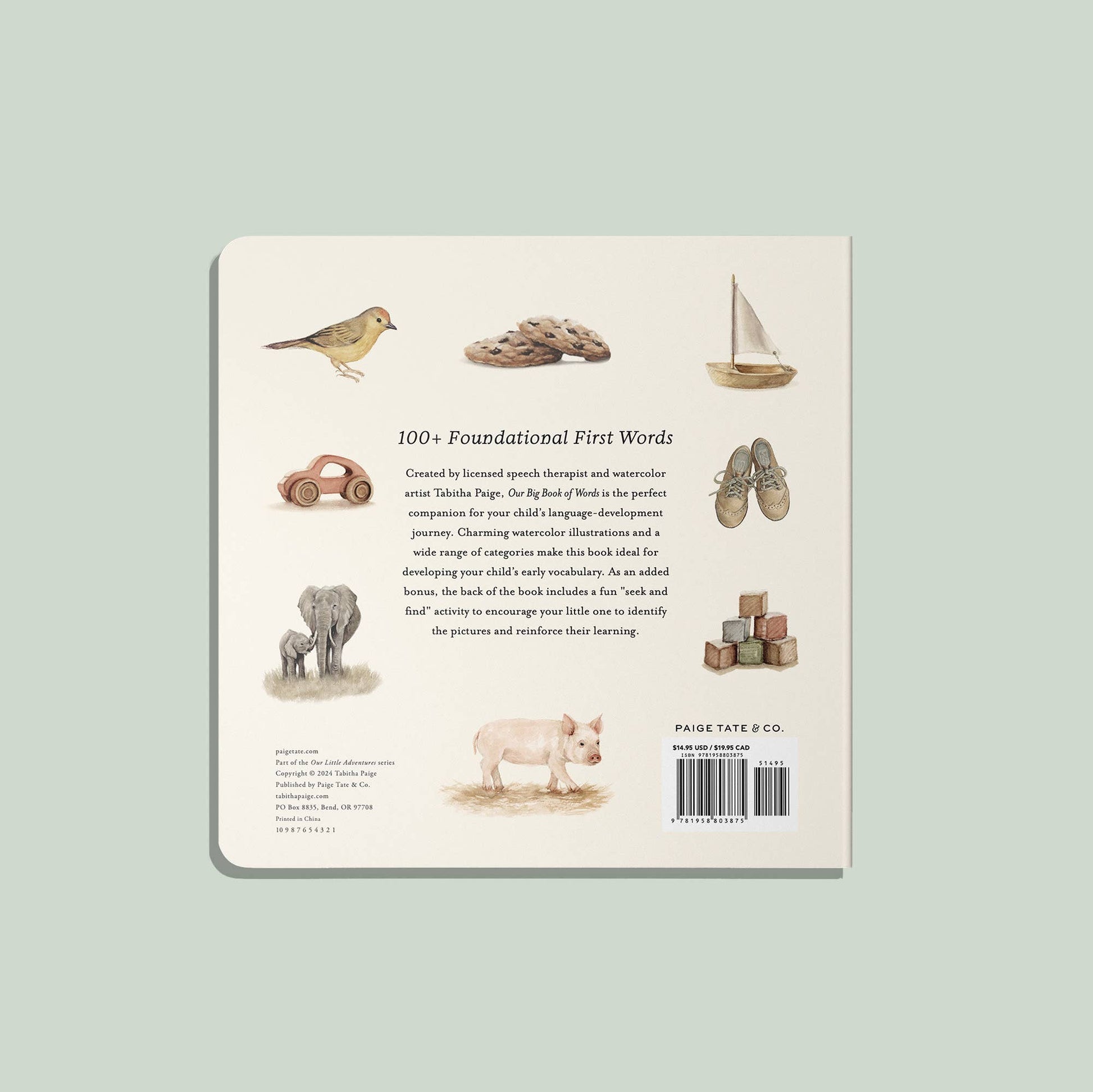 Our Big Book of First Words - Baby Board Book