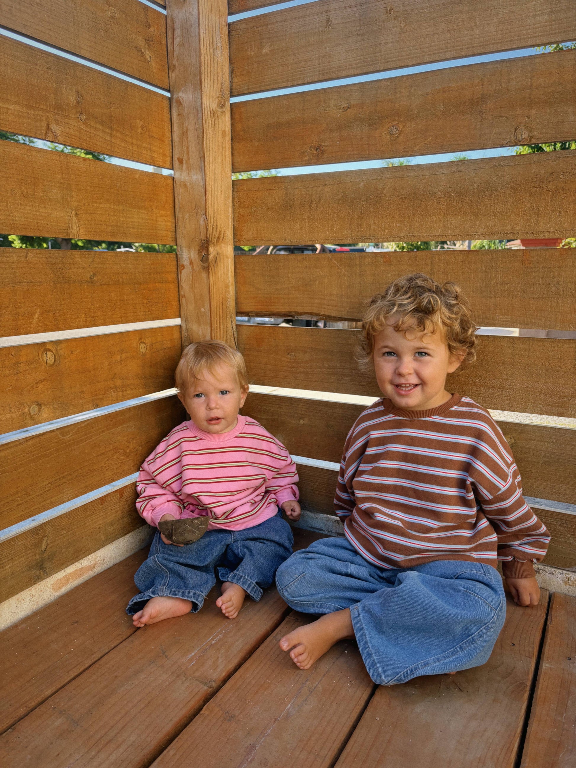 Baby & Toddler Stripe Long Sleeve Crewneck - Brown & Pink
