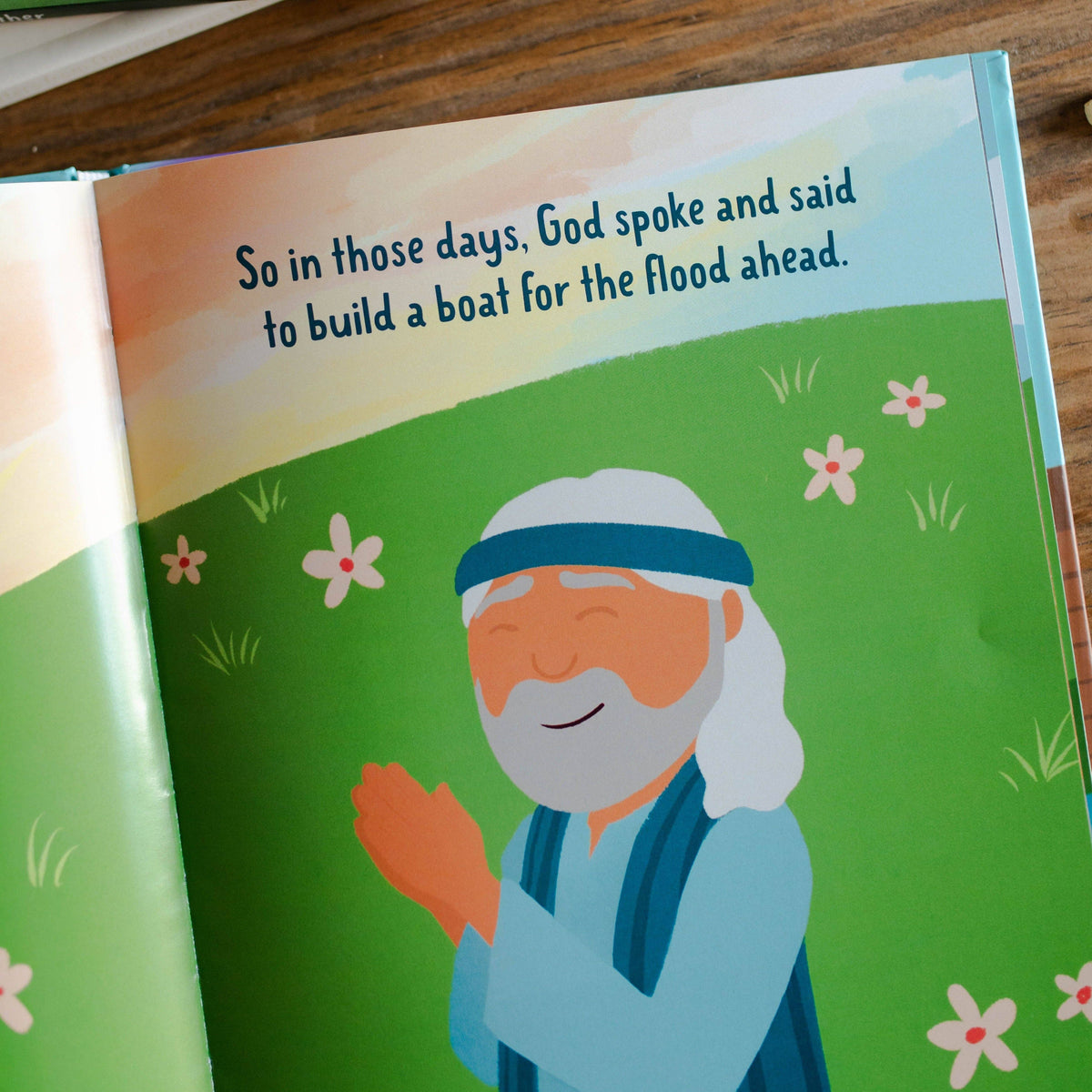 Faithful in the Flood Book