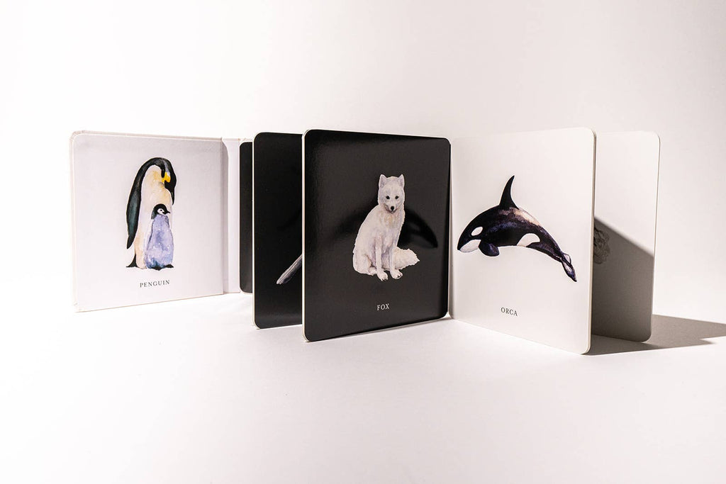 Black and White Contrast Book