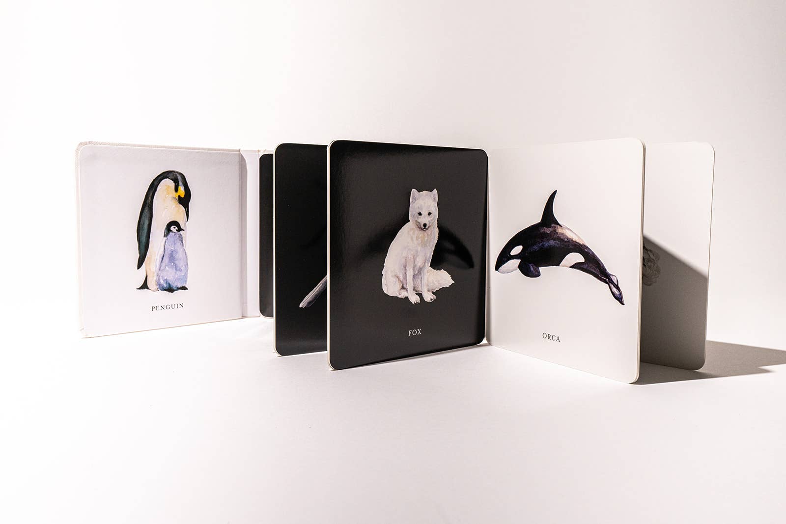 Black and White Contrast Book