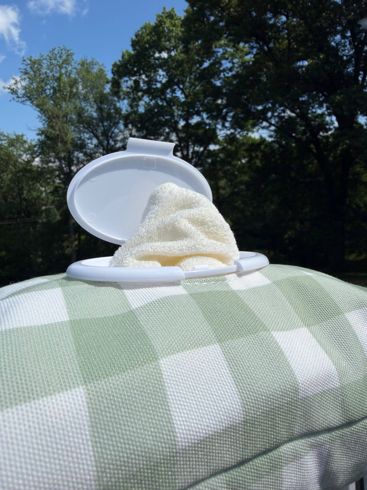 Wipes Clutch | Gingham